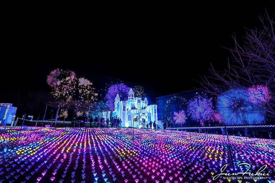 あしかがフラワーパーク イルミネーション