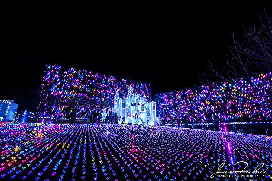 あしかがフラワーパーク イルミネーション
