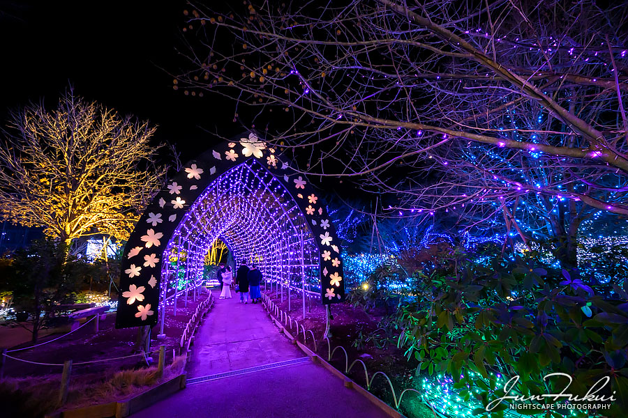 あしかがフラワーパーク イルミネーション