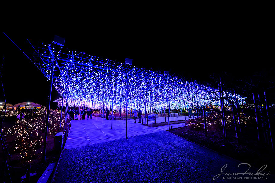 あしかがフラワーパーク イルミネーション