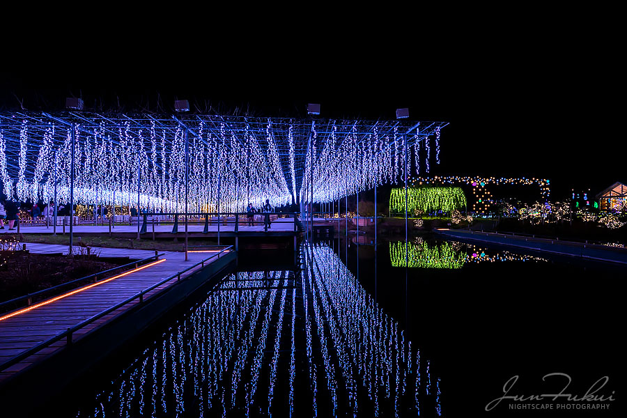 あしかがフラワーパーク イルミネーション