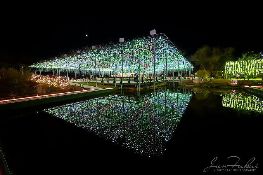 あしかがフラワーパーク イルミネーション