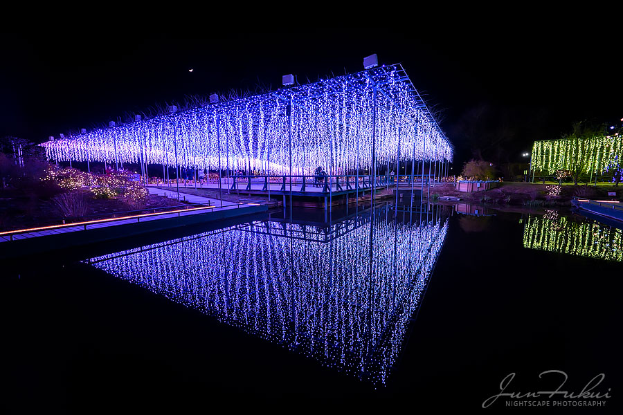 あしかがフラワーパーク イルミネーション