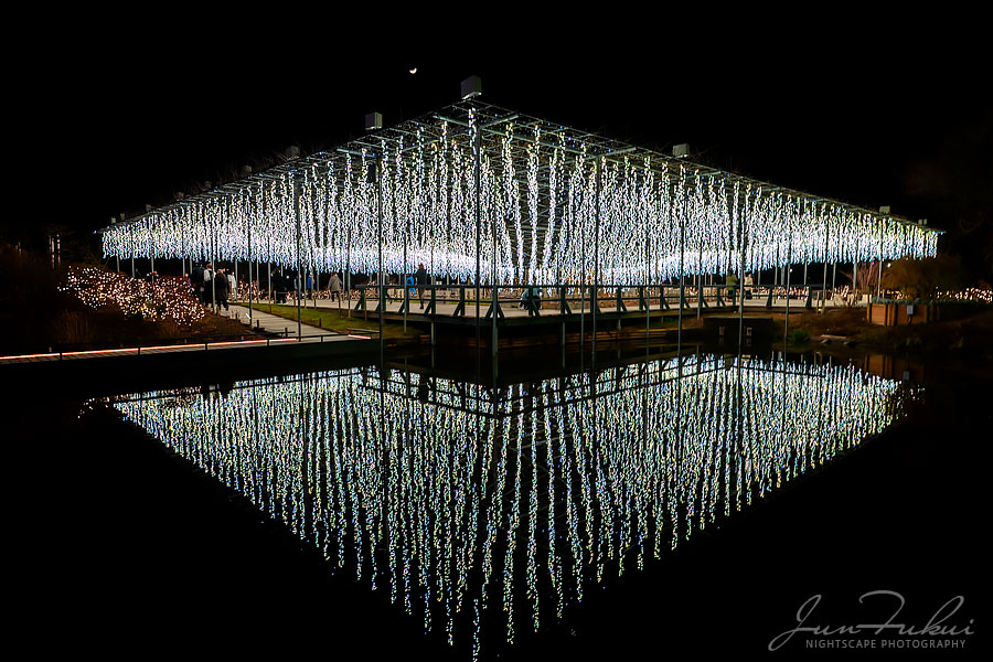 あしかがフラワーパーク イルミネーション