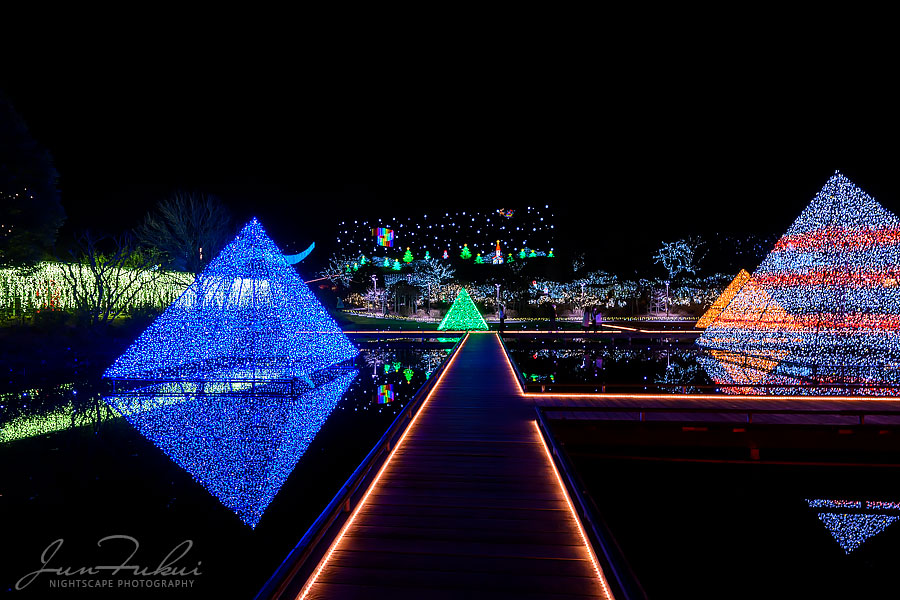 あしかがフラワーパーク イルミネーション