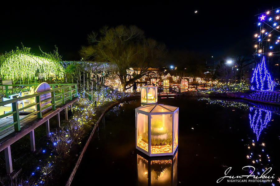 あしかがフラワーパーク イルミネーション