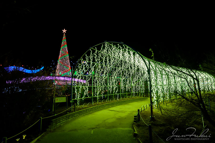 あしかがフラワーパーク イルミネーション