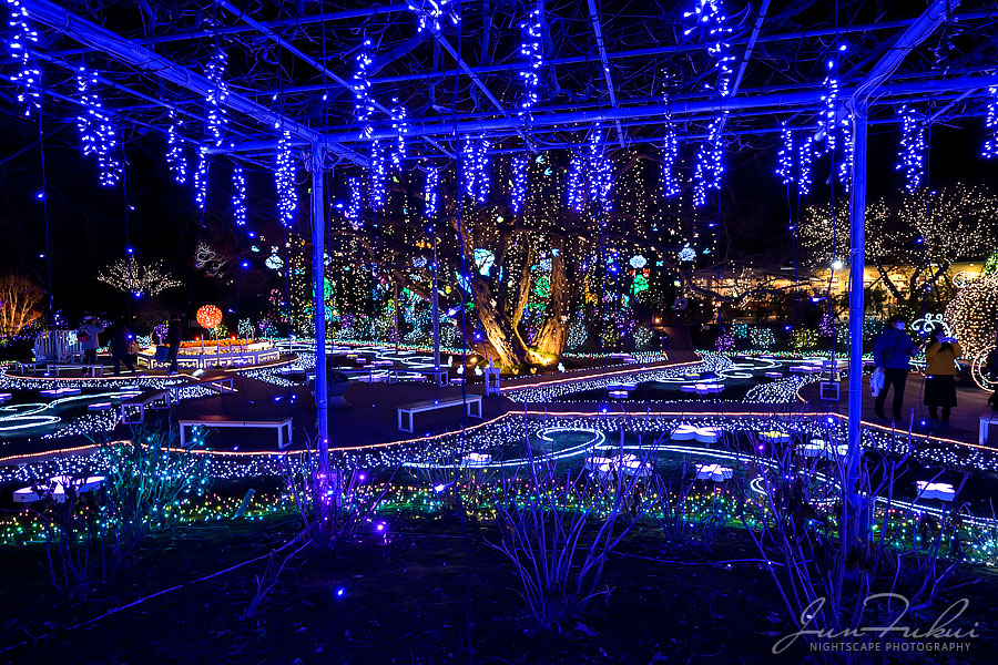 あしかがフラワーパーク イルミネーション