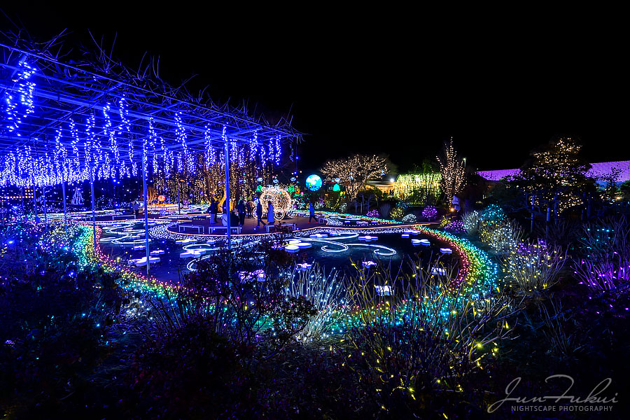 あしかがフラワーパーク イルミネーション