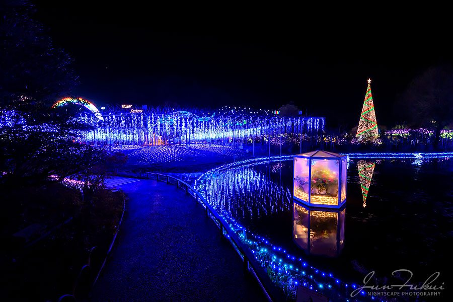 あしかがフラワーパーク イルミネーション