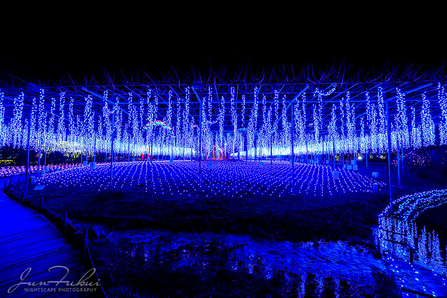 あしかがフラワーパーク イルミネーション