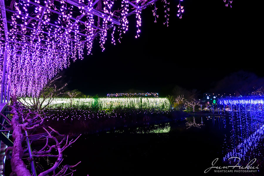 あしかがフラワーパーク イルミネーション