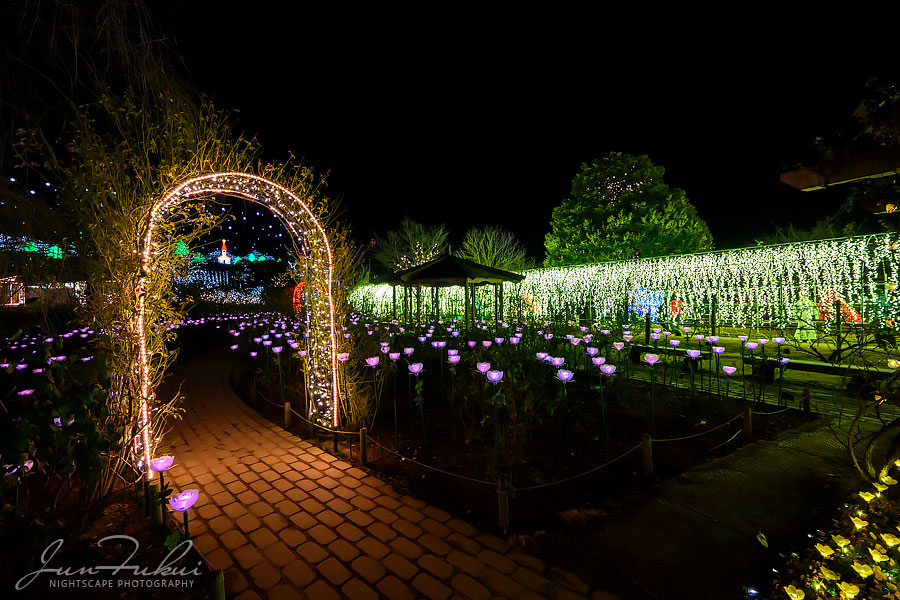 あしかがフラワーパーク イルミネーション