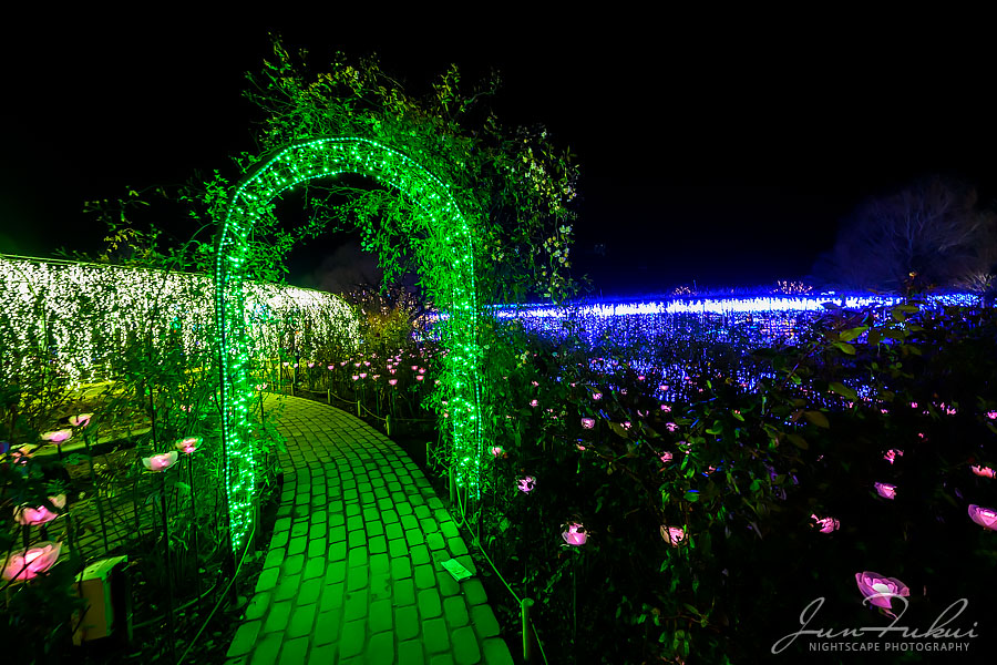 あしかがフラワーパーク イルミネーション