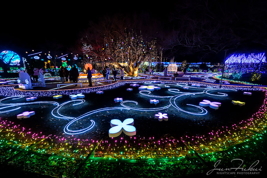 あしかがフラワーパーク イルミネーション