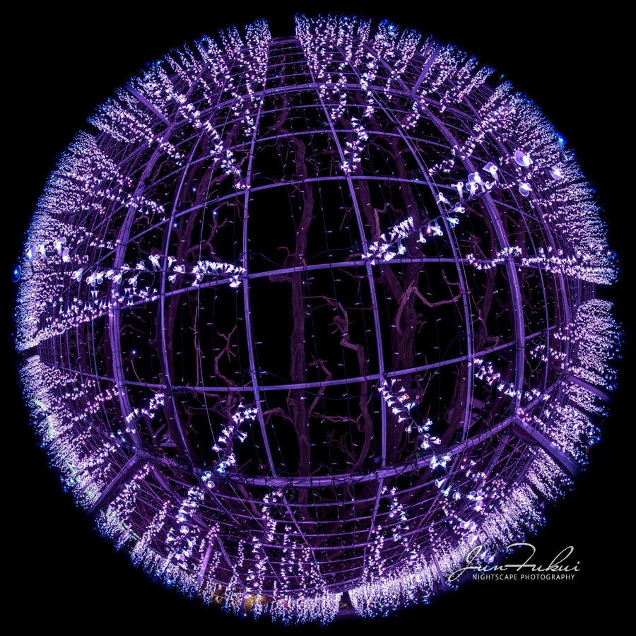 あしかがフラワーパーク イルミネーション