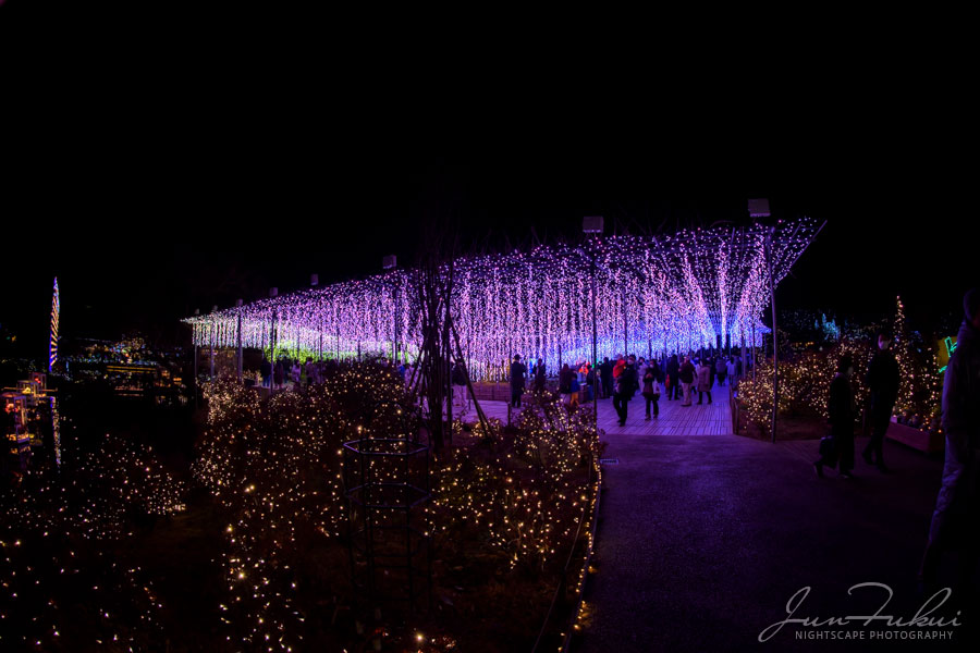 あしかがフラワーパーク イルミネーション