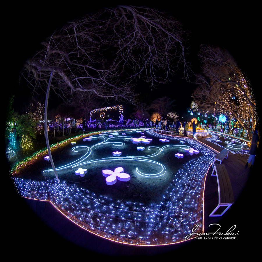 あしかがフラワーパーク イルミネーション