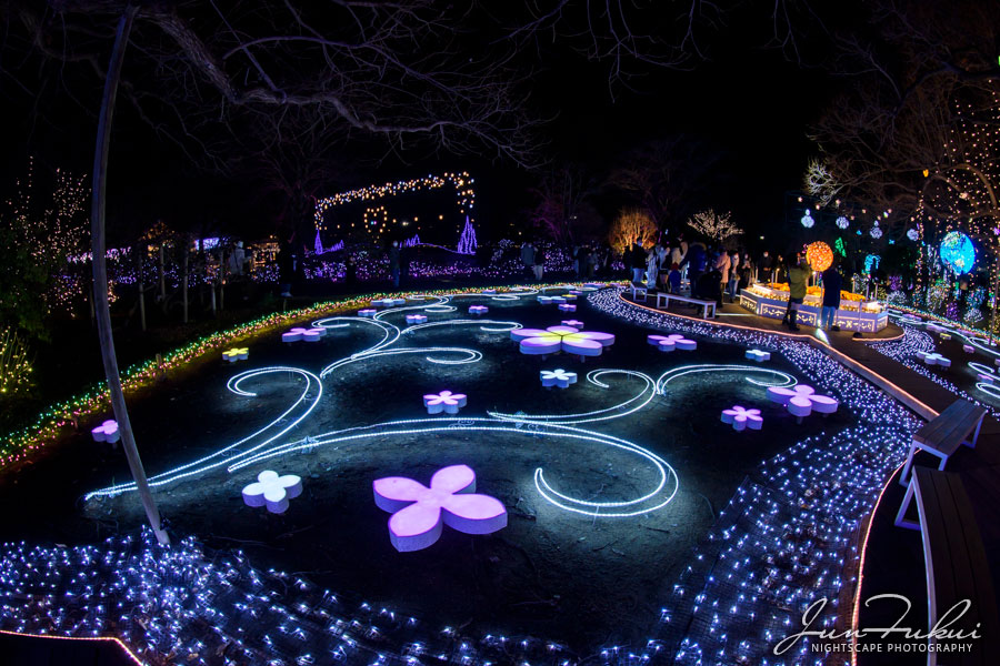あしかがフラワーパーク イルミネーション