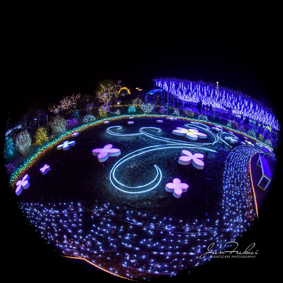 あしかがフラワーパーク イルミネーション