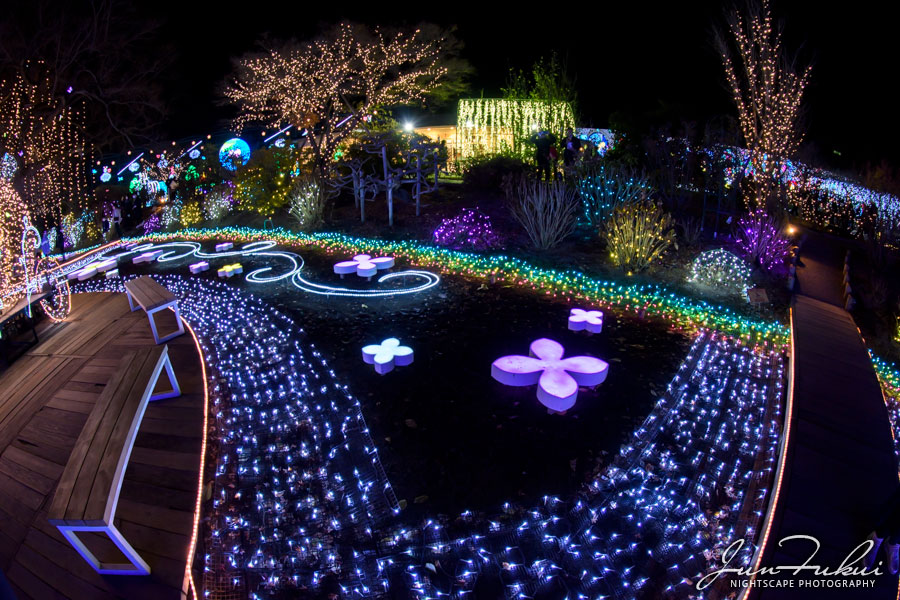 あしかがフラワーパーク イルミネーション