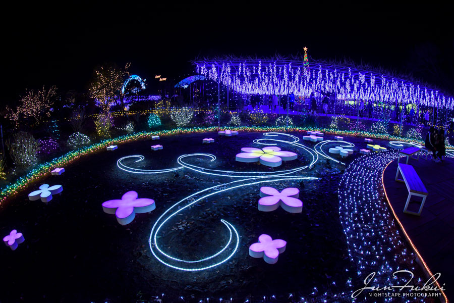 あしかがフラワーパーク イルミネーション