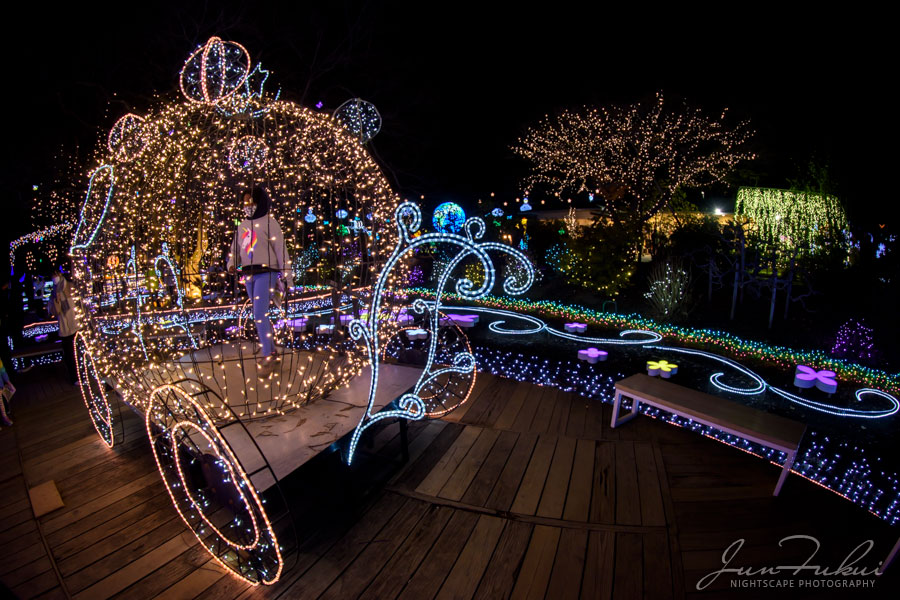 あしかがフラワーパーク イルミネーション