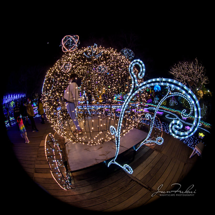 あしかがフラワーパーク イルミネーション