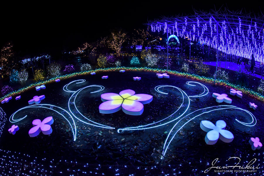 あしかがフラワーパーク イルミネーション