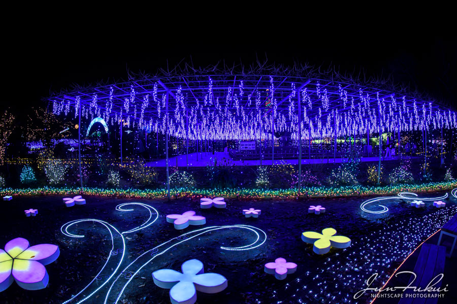 あしかがフラワーパーク イルミネーション