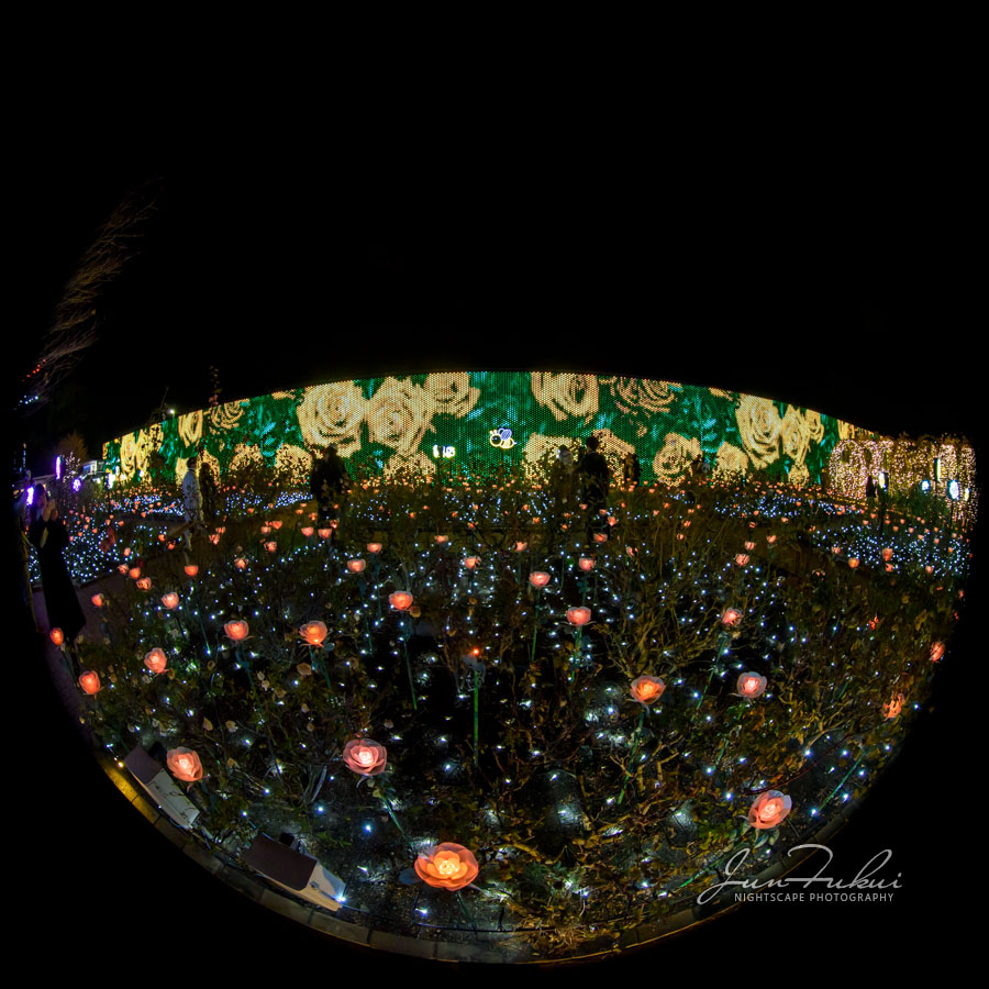 あしかがフラワーパーク イルミネーション