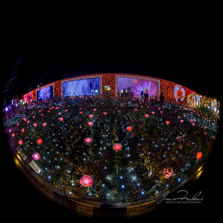 あしかがフラワーパーク イルミネーション