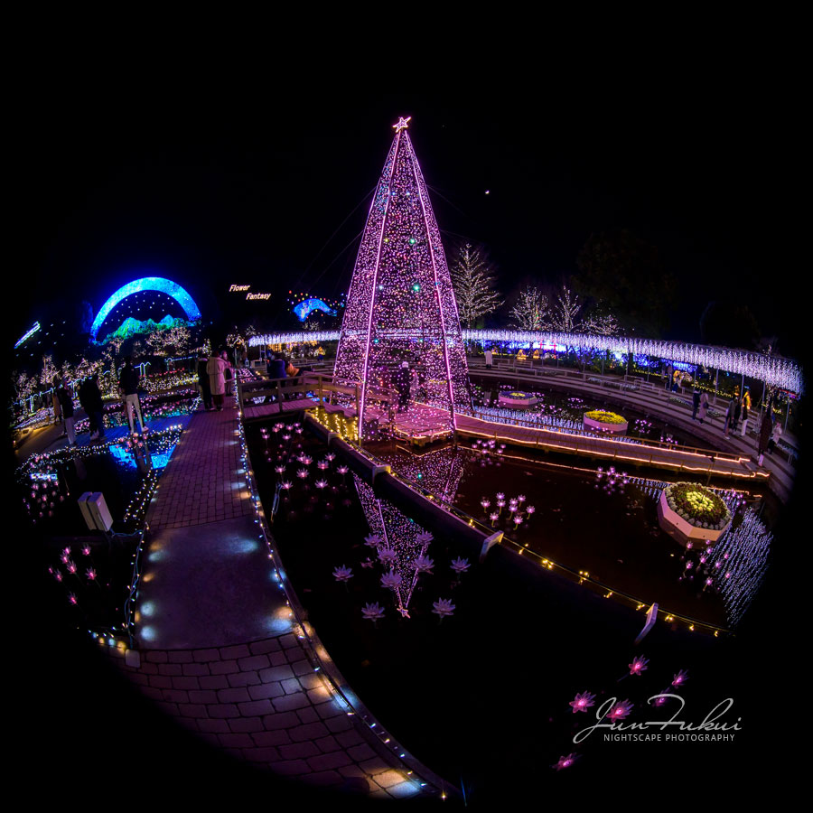 あしかがフラワーパーク イルミネーション