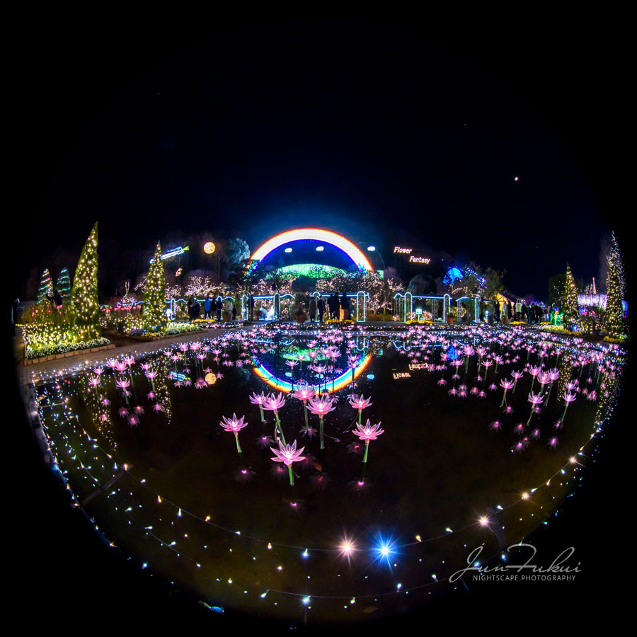 あしかがフラワーパーク イルミネーション