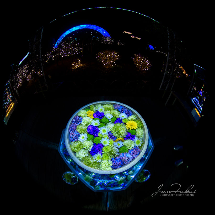 あしかがフラワーパーク イルミネーション