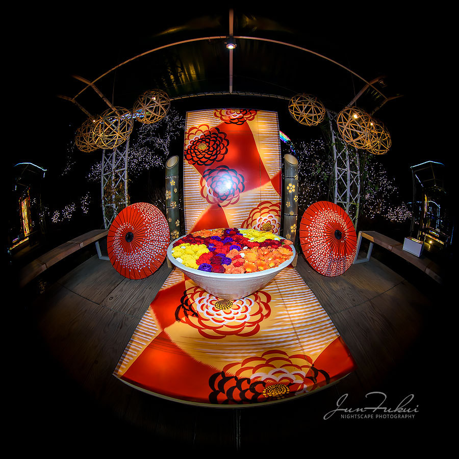 あしかがフラワーパーク イルミネーション