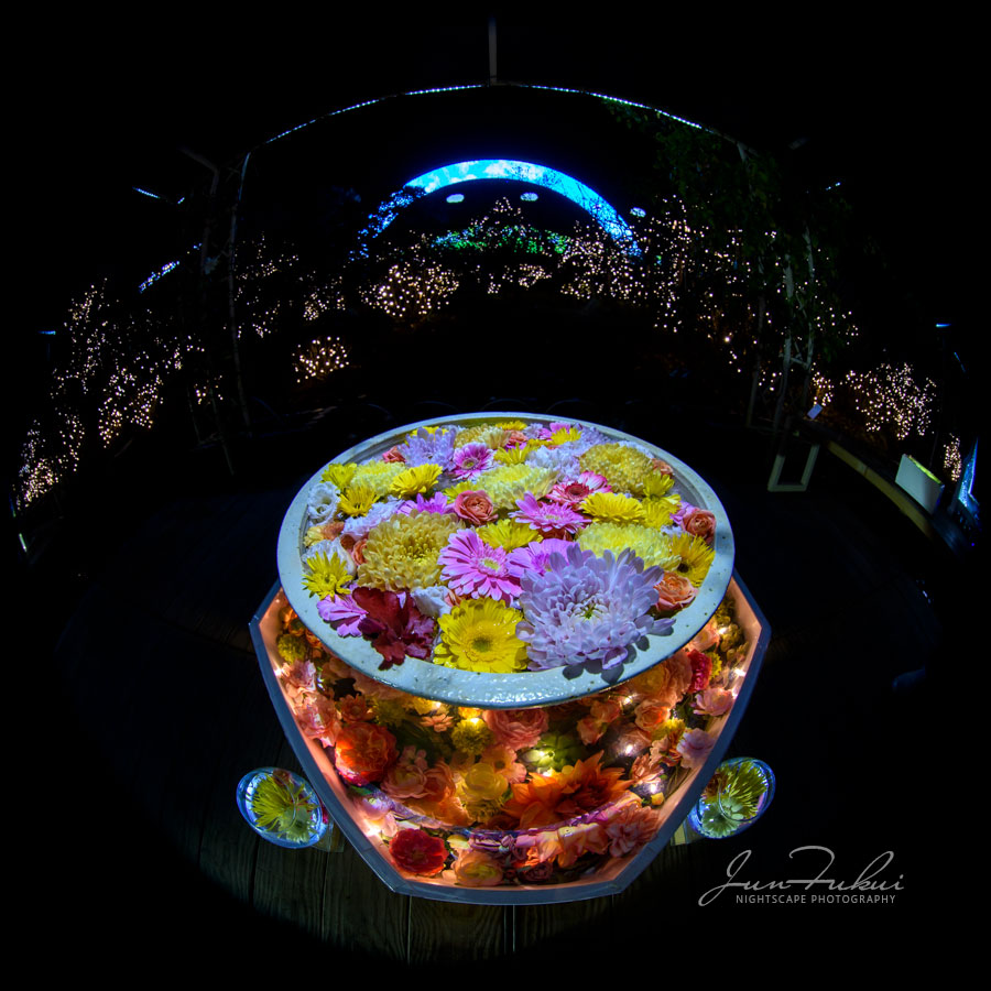 あしかがフラワーパーク イルミネーション