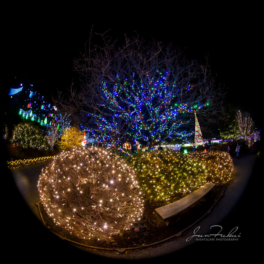 あしかがフラワーパーク イルミネーション