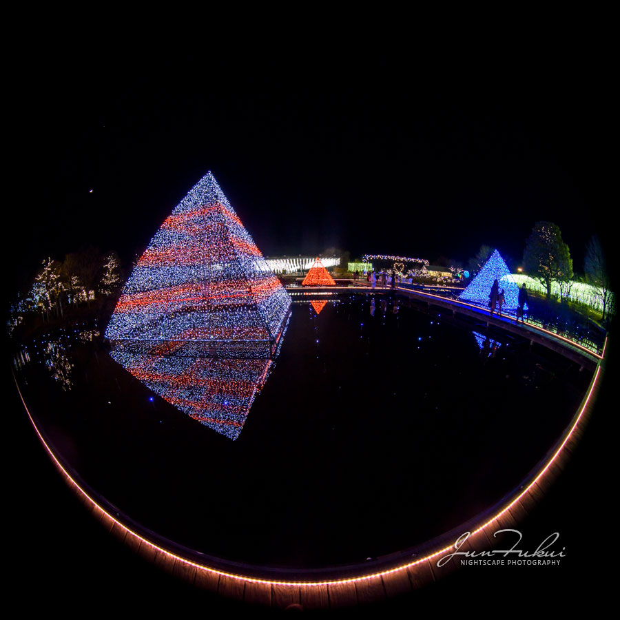 あしかがフラワーパーク イルミネーション