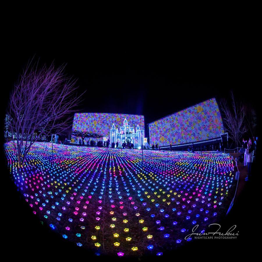 あしかがフラワーパーク イルミネーション