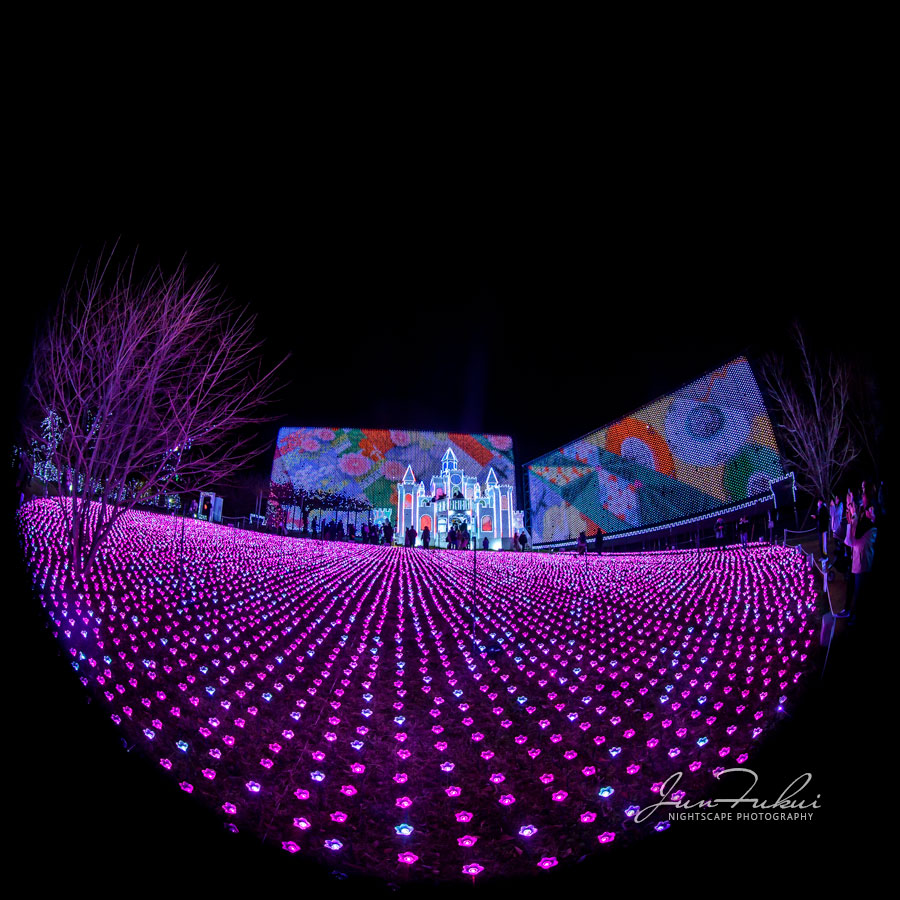 あしかがフラワーパーク イルミネーション