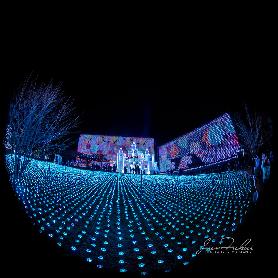 あしかがフラワーパーク イルミネーション