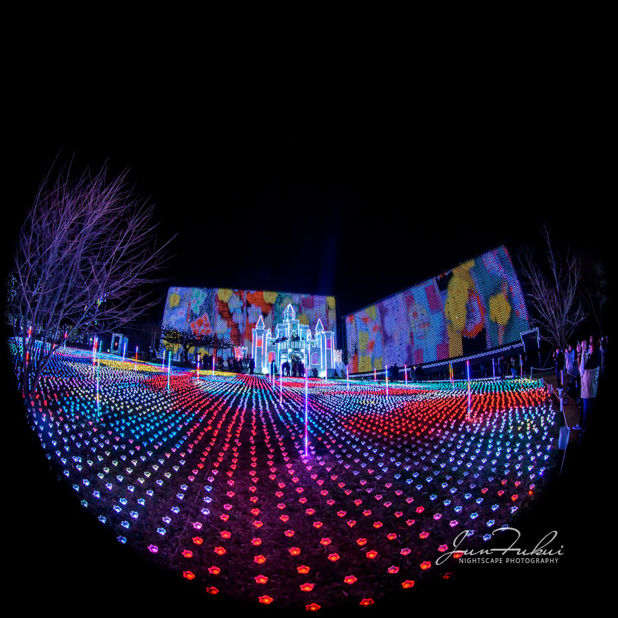 あしかがフラワーパーク イルミネーション