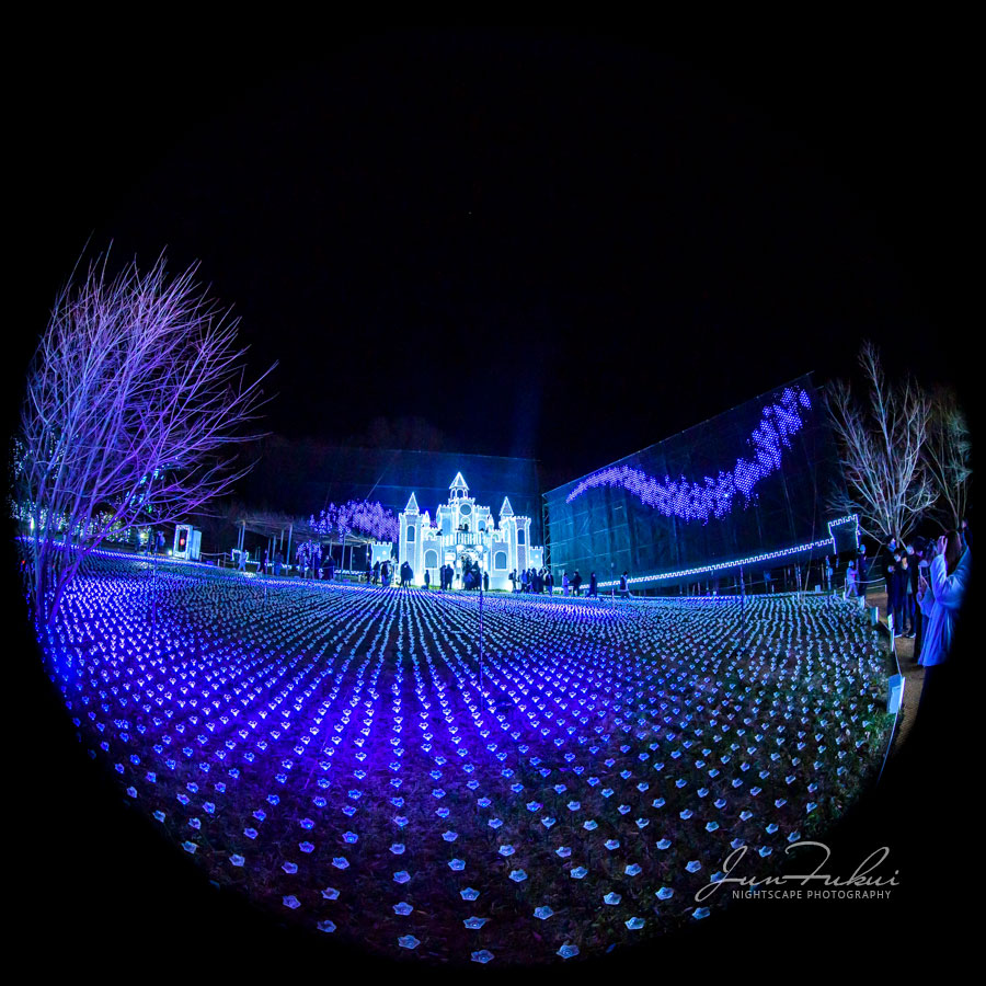 あしかがフラワーパーク イルミネーション