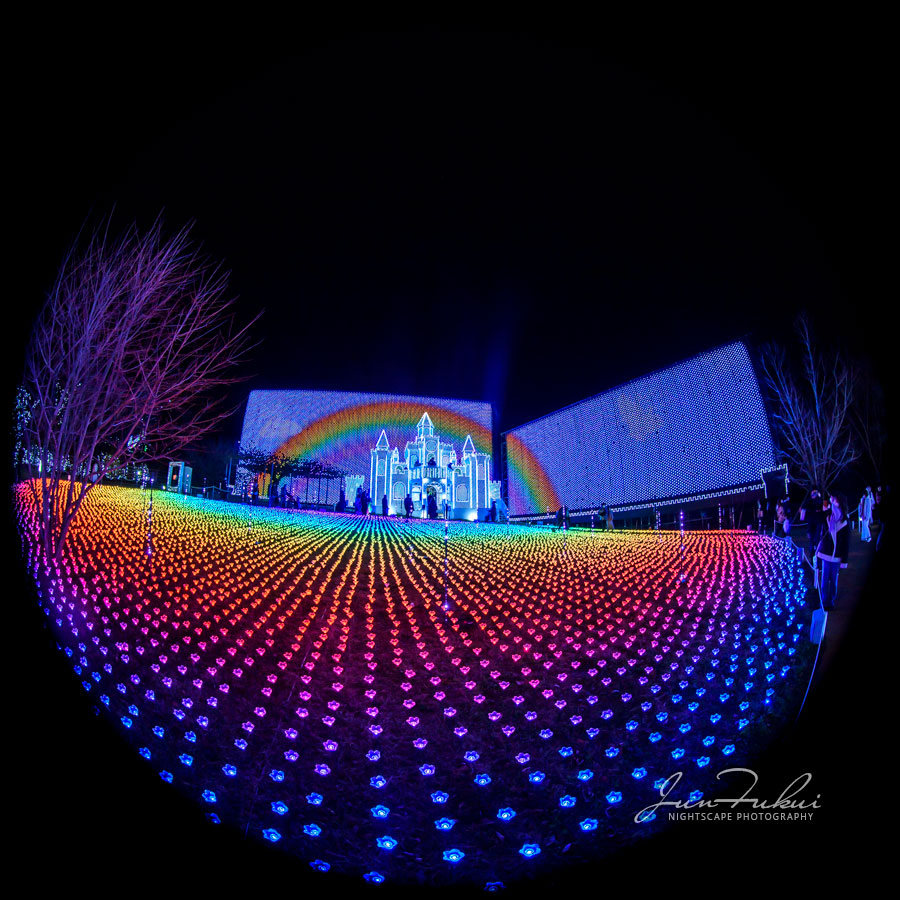 あしかがフラワーパーク イルミネーション