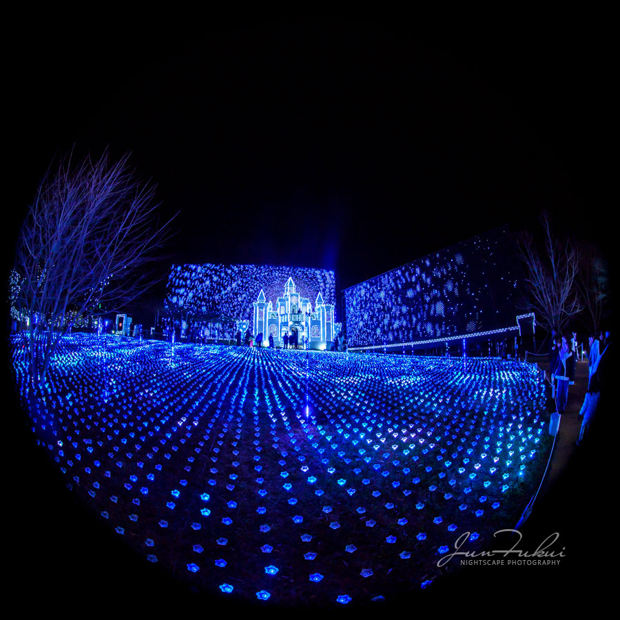 あしかがフラワーパーク イルミネーション