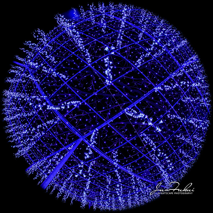 あしかがフラワーパーク イルミネーション