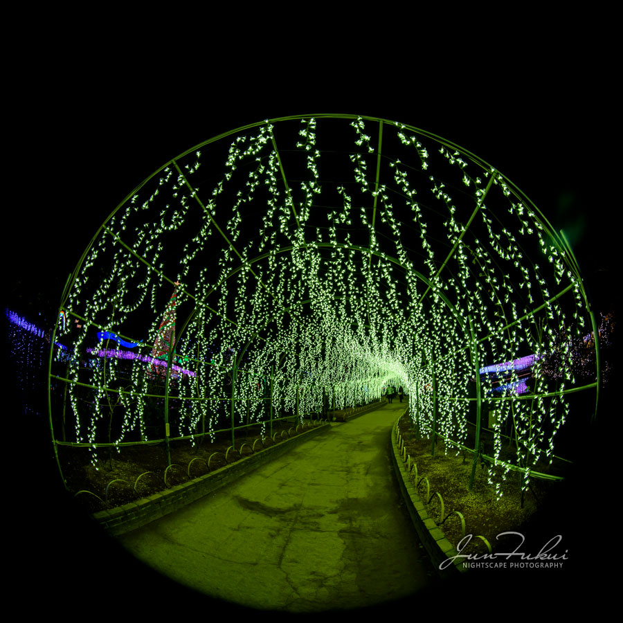 あしかがフラワーパーク イルミネーション