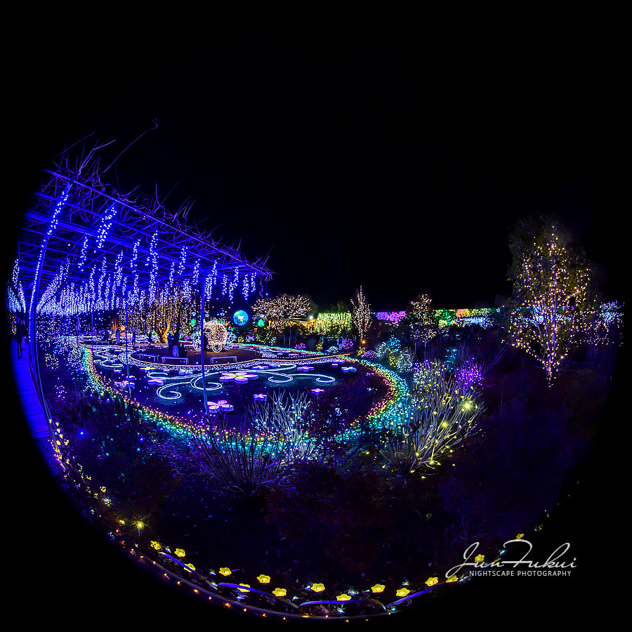 あしかがフラワーパーク イルミネーション