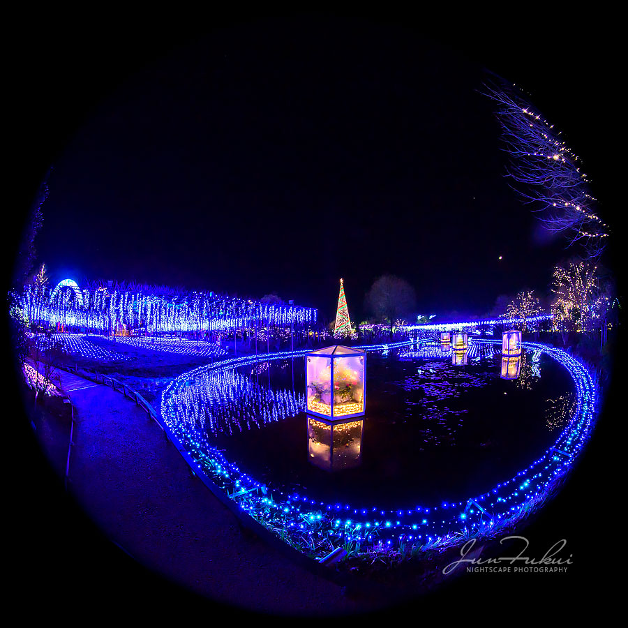 あしかがフラワーパーク イルミネーション